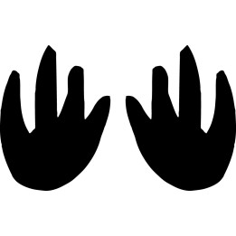 Buy Pala Paw Print Foot Track Decal Sticker Online