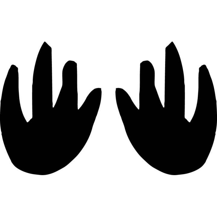 Buy Pala Paw Print Foot Track Decal Sticker Online