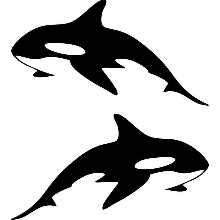 Orca Killer Whale Stickers – Sea Life Decals (2-Pack)