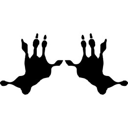 Buy Opossum Paw Print Foot Track Decal Sticker Online