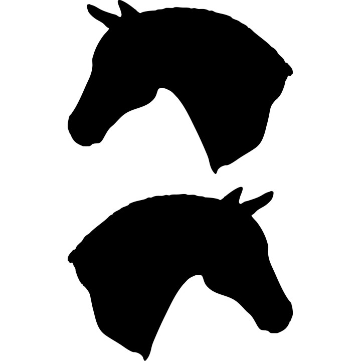 Buy Oldenburg Horse Vinyl Decal Sticker Online