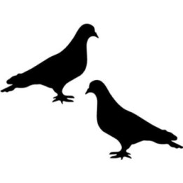Buy Duif 4 Decal Sticker Online
