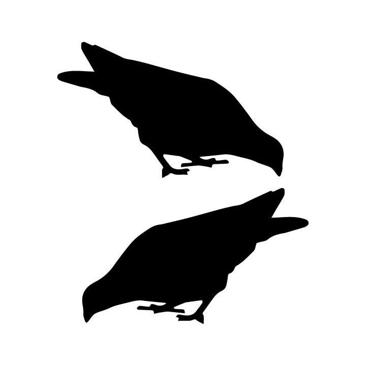 Buy Duif 5 Decal Sticker Online