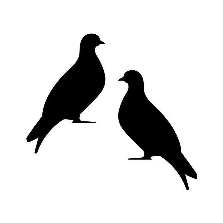 Buy Duif 6 Decal Sticker Online