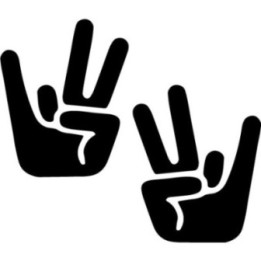 Buy Gesture Shocker Jdm 2 Decal Sticker Online