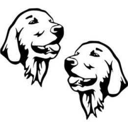 Buy Golden Retriever Links Sticker Online