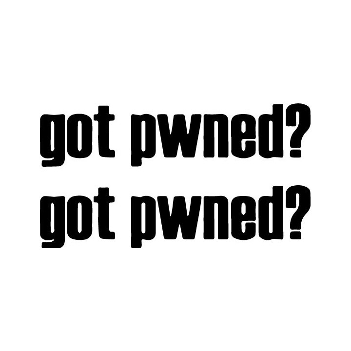 Got Pwned? Gaming Stickers – Gamer Slang Decals (2-Pack)
