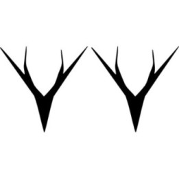 Whyte Bikes Stickers – MTB Trail Bike Vinyl Decals (2-Pack)