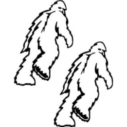Buy Yeti Beast Cycling Online