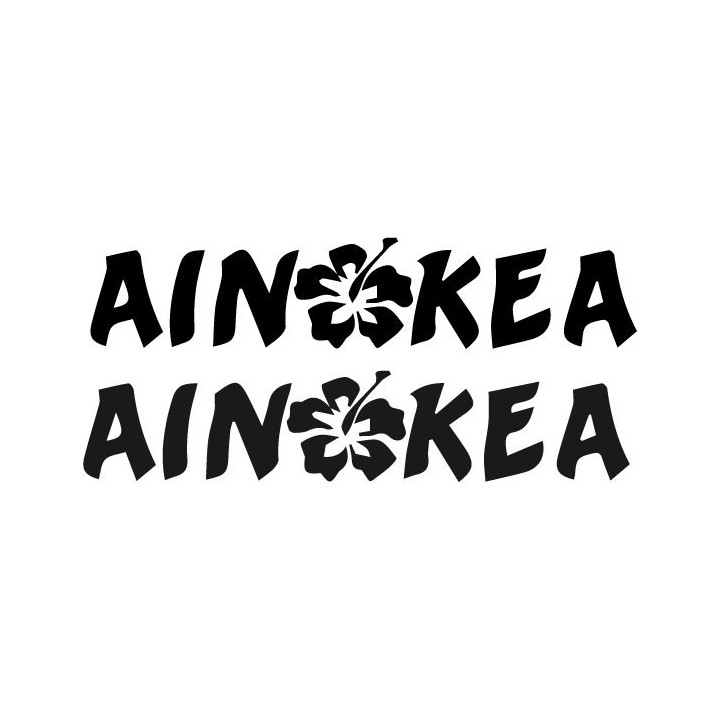 Buy Ainokea With Hisbicus Flower Decal Sticker Online