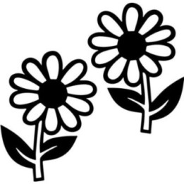 Daisy Flower Stickers – Spring Floral Decals (2-Pack)