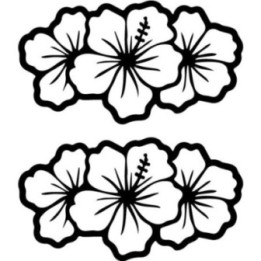 Hibiscus Flower Stickers – Tropical Hawaiian Decals (2-Pack)