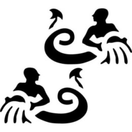 Aquarius Zodiac Stickers – Star Sign Decals (2-Pack)