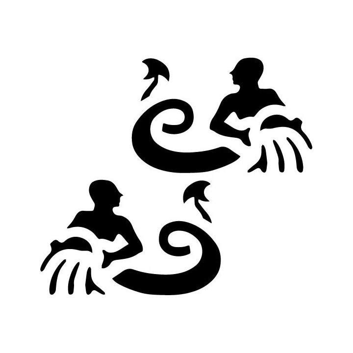 Aquarius Zodiac Stickers – Star Sign Decals (2-Pack)