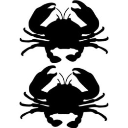 Cancer Zodiac Stickers – Horoscope Crab Decals (2-Pack)