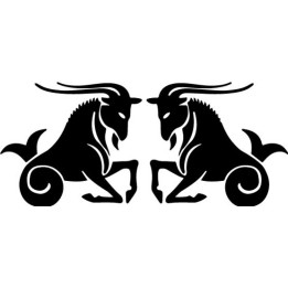 Capricorn Zodiac Stickers – Star Sign Decals (2-Pack)