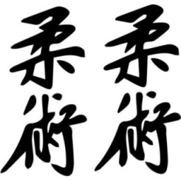 Jiu Jitsu Kanji Stickers – BJJ Martial Arts Decals (2-Pack)