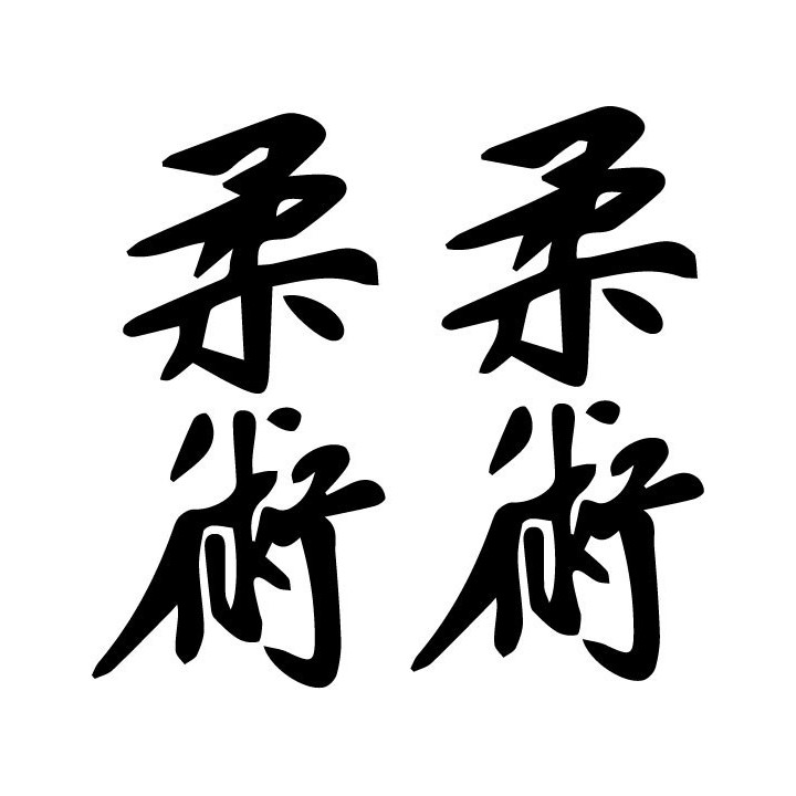 Jiu Jitsu Kanji Stickers – BJJ Martial Arts Decals (2-Pack)
