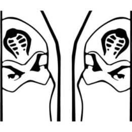 Storm Shadow Stickers – G.I. Joe Ninja Decals (2-Pack)