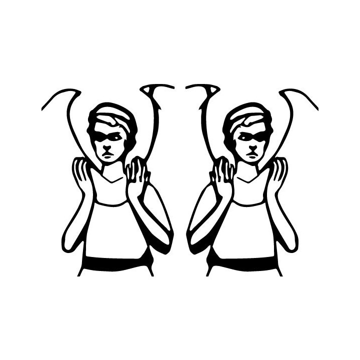 Weeping Angel Stickers – Doctor Who Don't Blink Decals (2-Pack)