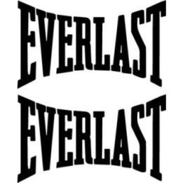 Everlast Stickers – Boxing Gym MMA Decals (2-Pack)
