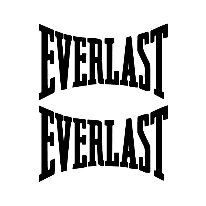 Everlast Stickers – Boxing Gym MMA Decals (2-Pack)
