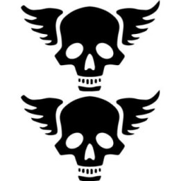 Skull Wings Stickers – Gothic Winged Skull Decals (2-Pack)
