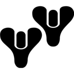Destiny Guardian Tricorn Stickers – Game Logo (2-Pack)
