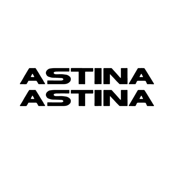Buy Astina Vinyl Decal Sticker Online