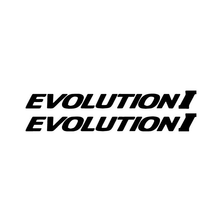 Buy Evolution I Vinyl Decal Sticker Online
