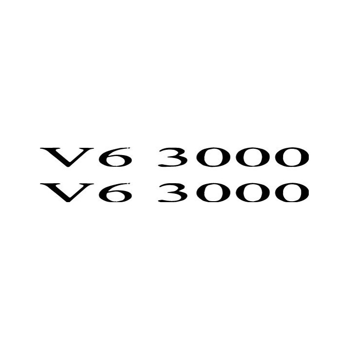 Buy V6 3000 Vinyl Decal Sticker Online