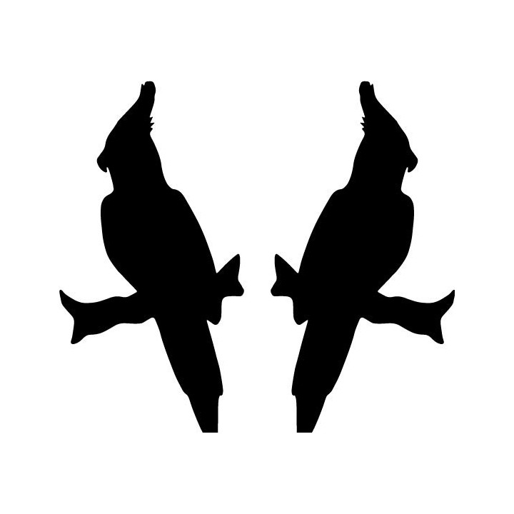 Buy Cockatiel Wildlfie Decal Sticker Vinyl Decal Sticker Online