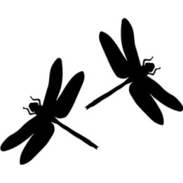 Buy Dragonfly Vinyl Decal Online