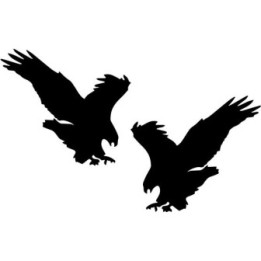 Buy Eagle Hawk Falcon Bird Decal Sticker Online