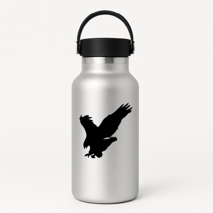 Buy Eagle Hawk Falcon Bird Decal Sticker Online