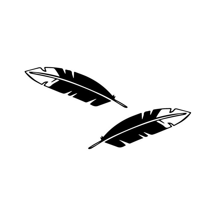 Buy Feather Bald Eagle Native American Decal Sticker Online
