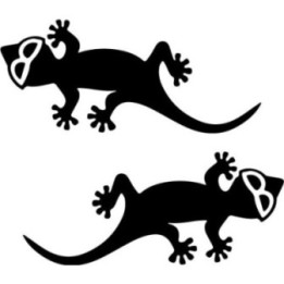 Buy Gecko With Sunglasses Decal Sticker Online