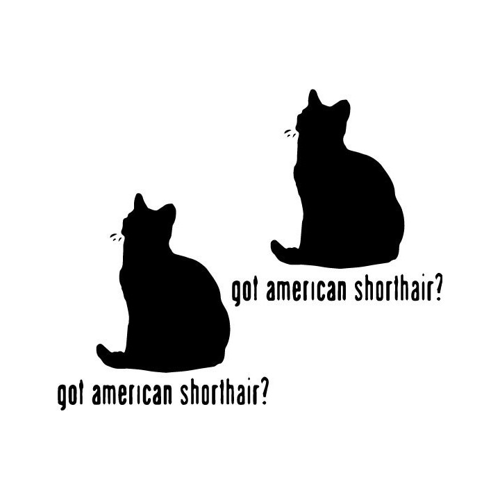Buy Got American Shorthair Cat Decal Sticker Vinyl Decal Sticker Online