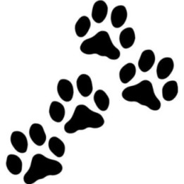 Buy Paw Prints Puppy Dog Decal Sticker Online