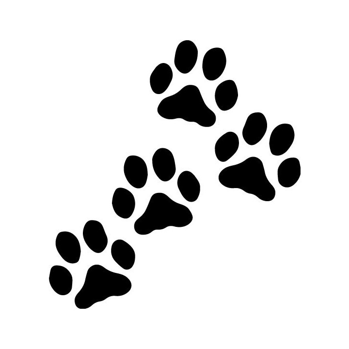 Buy Paw Prints Puppy Dog Decal Sticker Online
