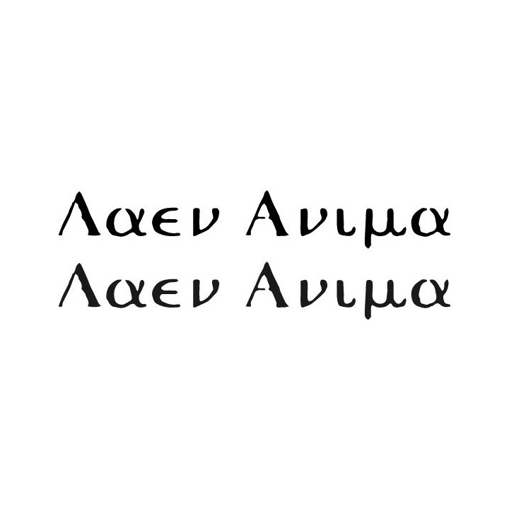 Aaen Anima Stickers – Metal Band Logo Decals (2-Pack)