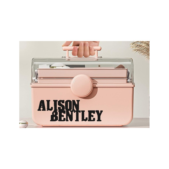 Alison Bentley Band Stickers – Music Artist Decals (2-Pack)