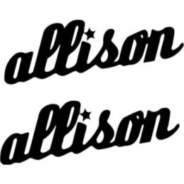 Allison Rock Band Stickers – Music Decals (2-Pack)