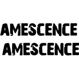 Amescence Stickers – Rock Band Music Decals (2-Pack)