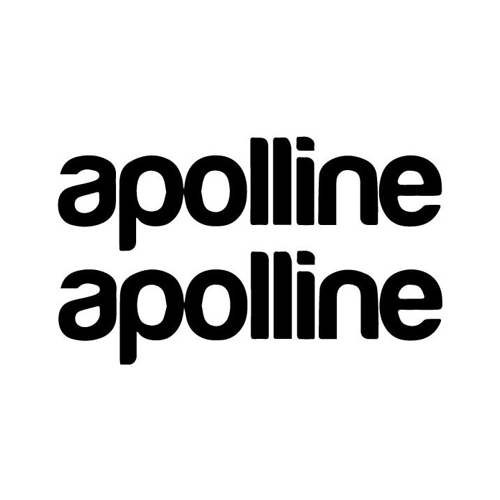 Apolline Stickers – Rock Band Music Decals (2-Pack)