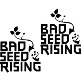Bad Seed Rising Stickers – Rock Band Decals (2-Pack)