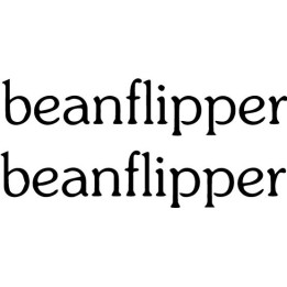 Beanflipper Band Stickers – Punk Grindcore Decals (2-Pack)