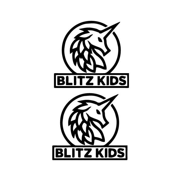 Blitz Kids Stickers – Band Logo Rock Decals (2-Pack)