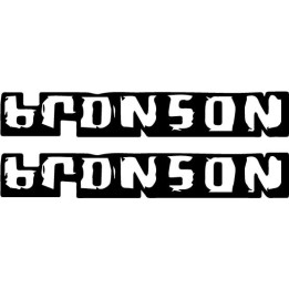 Bronson Stickers – Hardcore Punk Band Decals (2-Pack)