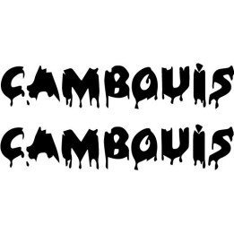 Cambouis Stickers – French Rock Band Decals (2-Pack)